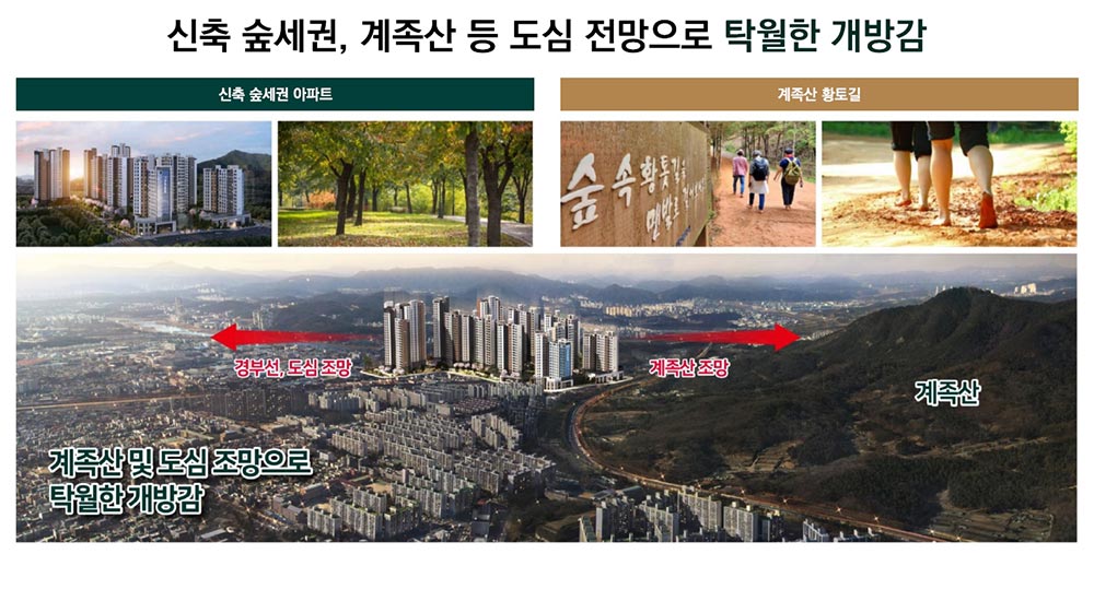단지특장점